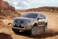 Ford Everest  Biturbo 2019 - Ford Everest 2.0 Biturbo 2019, nhập khẩu, giá tốt nhất thị trường, xe giao ngay  giá 1 tỷ 315 tr tại Bắc Giang