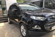 Ford EcoSport Titanium 2014 - Bán Ford EcoSport Titanium năm 2014, màu đen số tự động, 460tr giá 460 triệu tại Tp.HCM