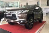 Mitsubishi Pajero 2019 - Bán Mitsubishi Pajero đời 2019, xe nhập giá 980 triệu tại Đà Nẵng