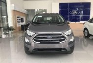 Ford EcoSport 2019 - Bán xe Ford EcoSport năm sản xuất 2019 giá 535 triệu tại Quảng Ngãi