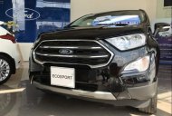 Ford EcoSport Titanium  2019 - Bán ô tô Ford EcoSport Titanium đời 2019, màu đen giá cạnh tranh giá 545 triệu tại Cần Thơ