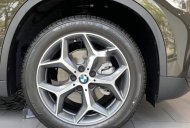 BMW X1   2019 - Cần bán BMW X1 đời 2019, xe nhập, giá tốt giá 1 tỷ 829 tr tại Tp.HCM