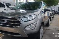 Ford EcoSport  Titanium 1.0L AT 2019 - Bán xe Ford EcoSport sản xuất 2019, màu xám giá 669 triệu tại Bình Dương