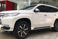 Mitsubishi Pajero MT 2019 - Cần bán xe Mitsubishi Pajero MT sản xuất năm 2019 giá 980 triệu tại Đà Nẵng