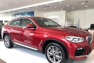 BMW X4 2018 - Xe BMW x4 xDrive20i - Nhập khẩu Đức mới 100% giá 2 tỷ 959 tr tại Hải Phòng
