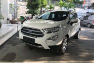 Ford EcoSport   2019 - Bán xe Ford EcoSport năm sản xuất 2019, 549tr giá 549 triệu tại An Giang