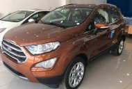 Ford EcoSport Ambiente 1.5 MT 2019 - Bán xe Ford EcoSport sản xuất 2019, giảm tiền mặt, tặng phụ kiện giá 541 triệu tại Bình Dương