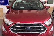 Ford EcoSport 2019 - Bán Ford EcoSport Titanium sản xuất 2019, màu đỏ giá 689 triệu tại Phú Yên