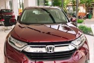 Honda CR V   2019 - Cần bán xe Honda CR V đời 2019, màu đỏ, xe nhập, mới 100% giá 983 triệu tại BR-Vũng Tàu