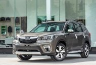 Subaru Forester   2019 - Subaru Forester  2.0 giá 990 triệu tại Cần Thơ