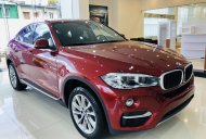 BMW X6 2019 - Bán BMW X6 35i Coupe, màu đỏ, xe nhập khẩu Đức, hầm hố, thể thao giá 3 tỷ 969 tr tại Tp.HCM