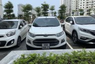 Ford EcoSport  Titanium  2014 - Bán xe Ford EcoSport sản xuất 2014, màu trắng, nhập khẩu   giá 435 triệu tại Hà Nội