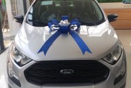 Ford EcoSport 2019 - Giảm ngay 35tr phụ kiện giá 510 triệu tại Lâm Đồng