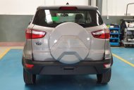 Ford EcoSport 2019 - Bán Ford EcoSport năm sản xuất 2019, khuyến mãi tiền mặt khi mua xe giá 620 triệu tại Bình Dương