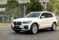 BMW X5 2019 - BMW X5 Xdrive 40i 2020 SUV thể thao, mạnh mẽ, màu trắng, xe nhập khẩu Đức 5+2 chỗ giá 4 tỷ 299 tr tại Tp.HCM