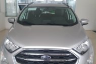 Ford EcoSport 2019 - Cần bán xe Ford EcoSport đời 2019, màu bạc giá cạnh tranh giá 545 triệu tại Tuyên Quang