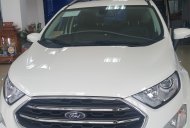 Ford EcoSport 2019 - Cần bán xe Ford EcoSport năm 2019, màu trắng, giá 545tr giá 545 triệu tại Điện Biên