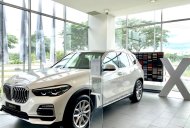 BMW X5 2019 - Bán xe BMW X5 đời 2019, trắng, nhập khẩu 100% từ Đức giá 4 tỷ 199 tr tại Tp.HCM