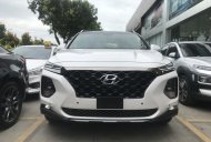 Hyundai Santa Fe 2020 - Bán Hyundai Santa Fe Premium 2020, màu trắng, đen, đỏ, xanh, vàng cát, bạc giá 1 tỷ 165 tr tại Tp.HCM