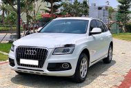 Audi Q5   2014 - Cần bán gấp Audi Q5 đời 2014, màu bạc, nhập khẩu giá 1 tỷ 250 tr tại Khánh Hòa