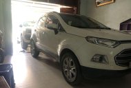 Ford EcoSport 2016 - Bán Ford EcoSport năm sản xuất 2016, màu trắng, giá tốt giá 450 triệu tại Quảng Nam