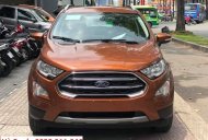 Ford EcoSport 2019 - Bán Ford EcoSport đời 2019, xe nhập giá 510 triệu tại Bình Dương