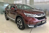 Honda CR V 2019 - Bán Honda CR V năm 2019, nhập khẩu giá 1 tỷ 23 tr tại Vĩnh Phúc