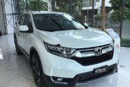 Honda CR V 2019 - Bán ô tô Honda CR V năm sản xuất 2019, xe nhập khẩu chính hãng giá 1 tỷ 93 tr tại Lâm Đồng