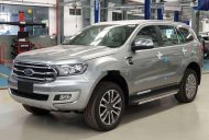 Ford Everest 2019 - Cần bán xe Ford Everest đời 2019, nhập khẩu chính hãng giá 1 tỷ 177 tr tại Kiên Giang