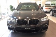 BMW X3 2019 - Bán xe BMW X3 đời 2019 màu đen, nhập khẩu chính hãng mới 100%, giảm tiền mặt, hỗ trợ trả góp 85%  giá 2 tỷ 499 tr tại Tp.HCM