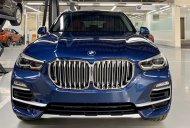 BMW X5 2019 - Bán xe BMW X5 2019, màu xanh lam, nhập khẩu nguyên chiếc mới 100%, giá tốt, hỗ trợ trả góp 85% giá 4 tỷ 199 tr tại Tp.HCM