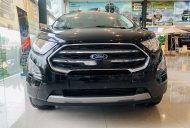 Ford EcoSport   2019 - Bán xe Ford EcoSport sản xuất năm 2019, màu đen, 515tr giá 515 triệu tại Đồng Nai