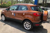 Ford EcoSport   2019 - Cần bán xe Ford EcoSport sản xuất 2019, màu nâu giá 505 triệu tại BR-Vũng Tàu