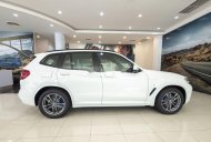 BMW X3   2019 - Bán BMW X3 đời 2019, nhập khẩu, giá tốt giá 2 tỷ 499 tr tại Tp.HCM