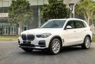 BMW X5 2019 - BMW Phú Nhuận - Bán xe chính hãng BMW X5 Xdrive 40i đời 2019, màu trắng giá 4 tỷ 299 tr tại Tp.HCM