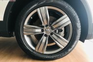 Volkswagen Tiguan 2019 - Bán xe Volkswagen Tiguan đời 2019, màu trắng, nhập khẩu nguyên chiếc giá 1 tỷ 729 tr tại Đà Nẵng