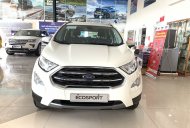 Ford EcoSport Titanium 1.0L  2018 - Xả xe giá gốc, Khi mua Ford EcoSport Titanium 1.0L sản xuất 2018, màu trắng, nhập khẩu giá 660 triệu tại Tp.HCM