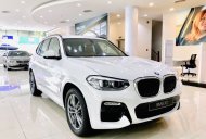 BMW X3 2019 - Ưu đãi đến 75 triệu đồng khi mua chiếc BMW X3 xDrive20i, đời 2019, màu trắng, nhập khẩu giá 2 tỷ 499 tr tại Tp.HCM