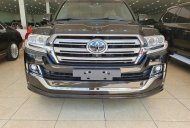 Toyota Land Cruiser 5.7 V8 2019 - Mr Đàm: 0904.103.109 - Nhận ngay giá tốt, khi mua Toyota Land Cruiser  V8 5.7Lnăm sản xuất 2019, màu đen giá 7 tỷ 780 tr tại Hà Nội