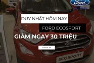 Ford EcoSport   2019 - Cần bán xe Ford EcoSport năm 2019, 530tr giá 530 triệu tại Đà Nẵng