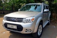 Ford Everest MT 2015 - Bán ô tô Ford Everest MT năm 2015, giá tốt giá 550 triệu tại Tp.HCM