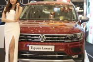 Volkswagen Tiguan 2019 - Volkswagen Tiguan Allspace Luxury, phiên bản giới hạn chỉ còn 2 xe  giá 1 tỷ 849 tr tại Tp.HCM