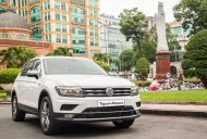 Volkswagen Tiguan 2019 - Cần bán xe giá ưu đãi với chiếc Volkswagen Tiguan Allspace Highline, sản xuất 2019 giá 1 tỷ 729 tr tại Tp.HCM