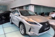 Lexus RX   300  2020 - Bán Lexus RX 300 sản xuất năm 2020, màu bạc, xe nhập giá 3 tỷ 180 tr tại Đà Nẵng