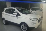 Ford EcoSport 2019 - Bán xe Ford EcoSport đời 2019, màu trắng, nhập khẩu nguyên chiếc, giá 650tr giá 650 triệu tại Thái Bình