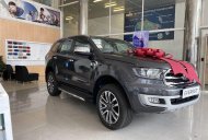 Ford Everest   2019 - Bán ô tô Ford Everest sản xuất 2019, màu xám, nhập khẩu giá 1 tỷ 110 tr tại Đà Nẵng
