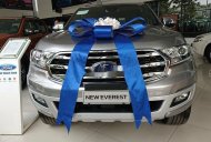 Ford Everest 2019 - Bán xe Ford Everest năm sản xuất 2019, màu bạc giá 1 tỷ 295 tr tại Đắk Lắk