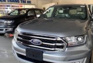Ford Everest 2020 - Cần bán Ford Everest năm sản xuất 2020, nhập khẩu nguyên chiếc giá 1 tỷ 177 tr tại An Giang