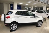 Ford EcoSport 1.0P AT Titanium 2020 -  Bán xe Ford EcoSport 1.5P Titanium 2020, màu trắng giá 689 triệu tại Hà Nội