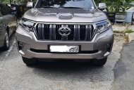 Toyota Prado 2020 - Cần bán Toyota Prado năm sản xuất 2020, màu xám, xe nhập  giá 2 tỷ 289 tr tại Hà Nội